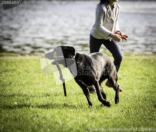 Image of  young girl and dog on the grass
