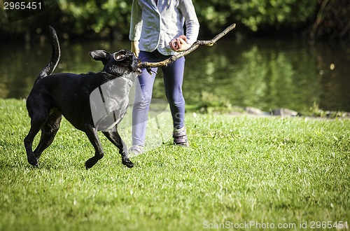 Image of young girl and dog on the grass