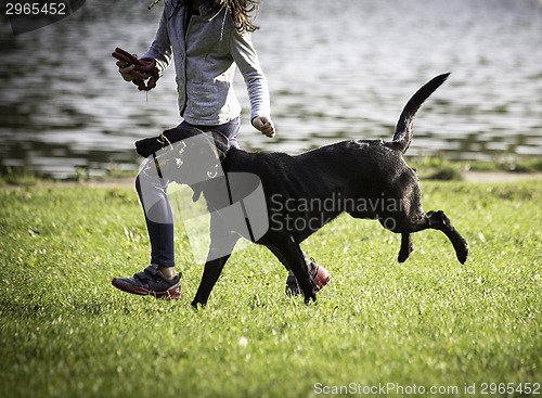 Image of  young girl and dog on the grass