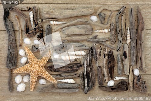 Image of Shell and Driftwood Collage