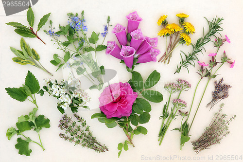 Image of Naturopathic Herbs and Flowers