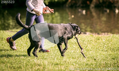 Image of young girl and dog on the grass