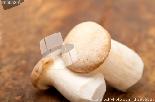 Image of fresh wild mushrooms