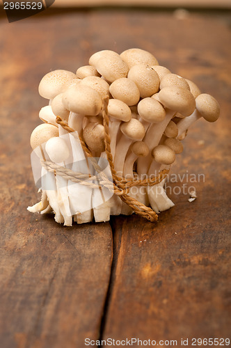 Image of fresh wild mushrooms