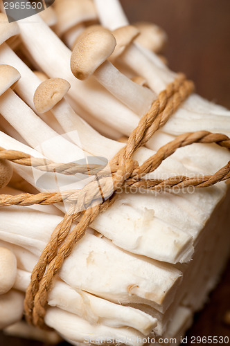 Image of fresh wild mushrooms