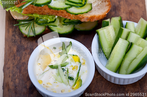 Image of fresh vegetarian sandwich with garlic cheese dip salad