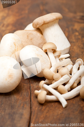 Image of fresh wild mushrooms