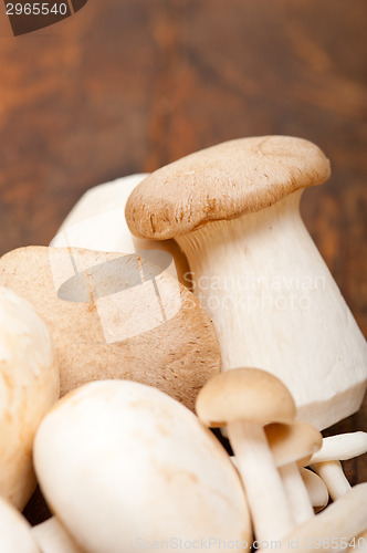 Image of fresh wild mushrooms