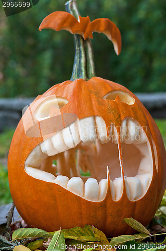 Image of Halloween pumpkin