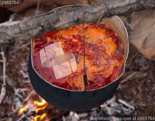 Image of Cooking borscht (Ukrainian traditional soup) on campfire