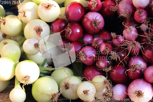 Image of fresh red and white onions 