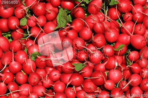 Image of radishes background 