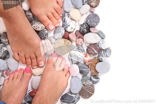 Image of woman legs (pedicure) 