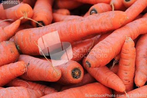 Image of carrot background