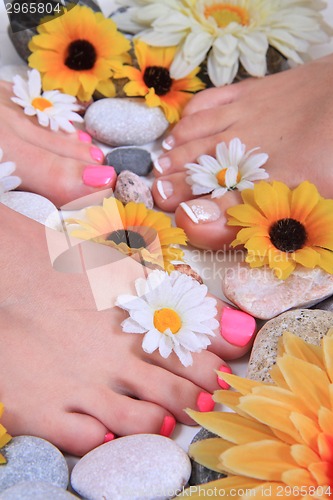 Image of woman legs (pedicure) 