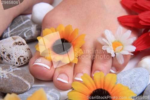 Image of woman legs (pedicure) 