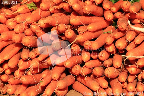 Image of orange carrot background