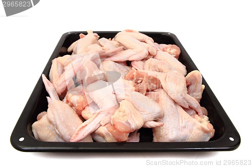 Image of raw chicken meat (wings)