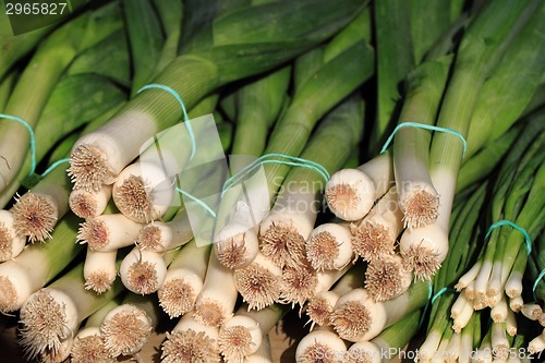 Image of fresh green leafy leek 