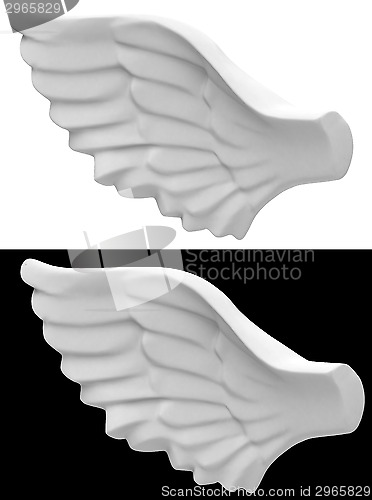 Image of the angel wing