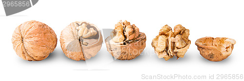 Image of Several Nuts Lying In A Row