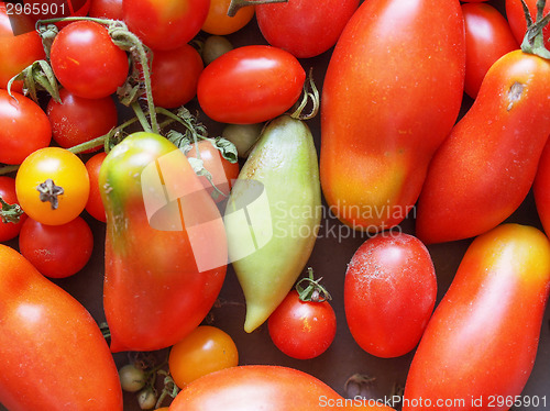 Image of Tomato vegetable