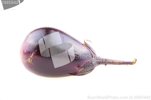 Image of violet eggplant vegetable