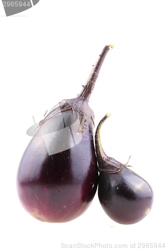 Image of violet eggplant vegetable