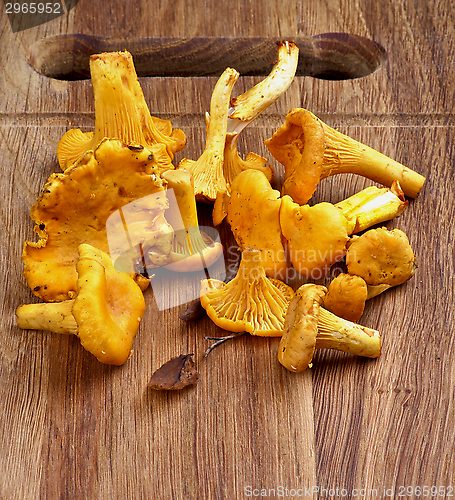 Image of Fresh Raw Chanterelles 