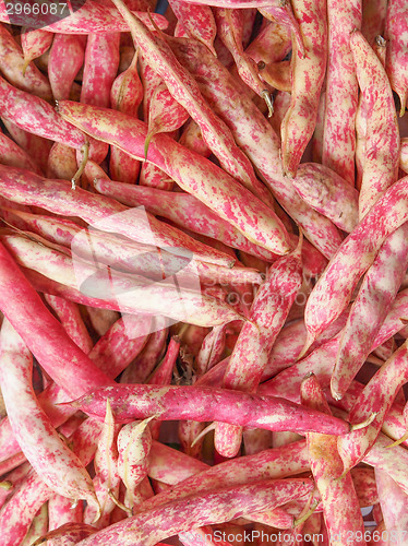 Image of Cranberry beans