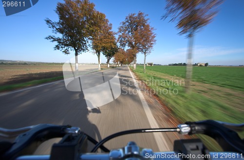 Image of Riding a bicycle