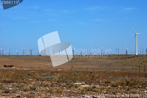 Image of alternative energy winds