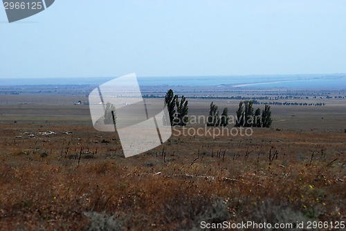 Image of Crimean steppe