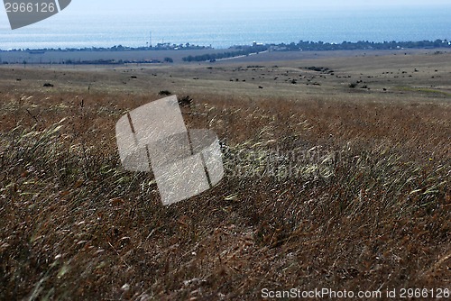 Image of Crimean steppe