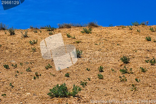 Image of Crimean desert