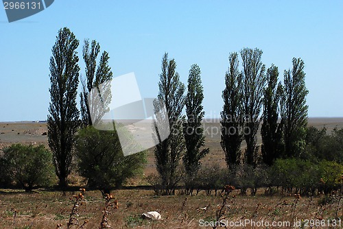 Image of nature Tarhankuta