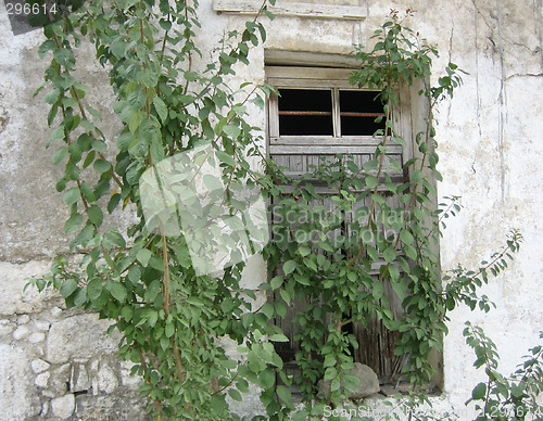 Image of Cretan door