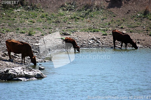 Image of lake Springs