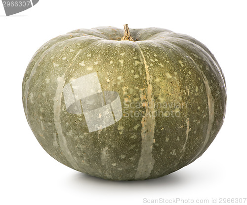 Image of Green pumpkin