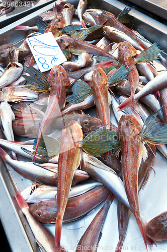 Image of Fish market