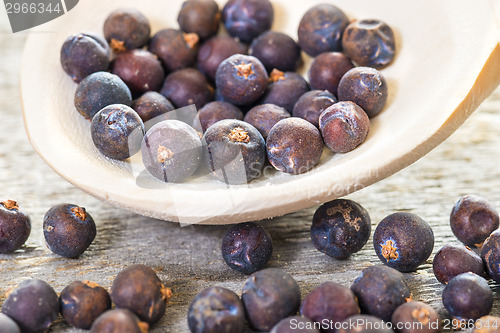 Image of juniper berries