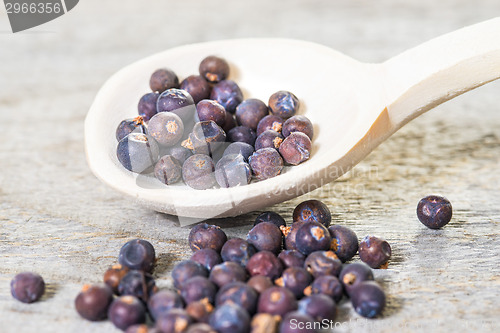 Image of juniper berries