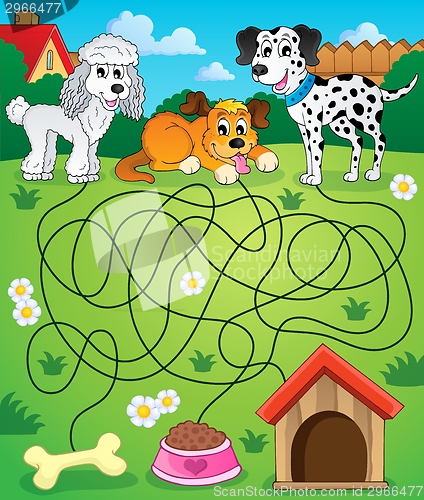 Image of Maze 14 with dogs