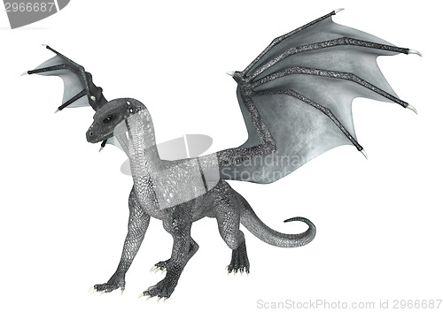 Image of Fantasy Dragon on White
