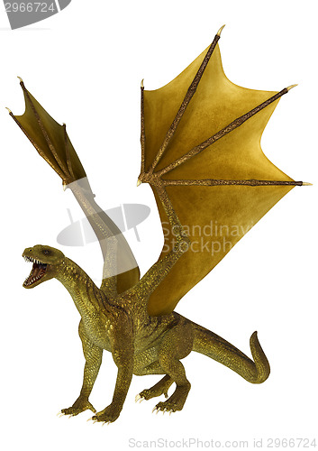 Image of Golden Dragon