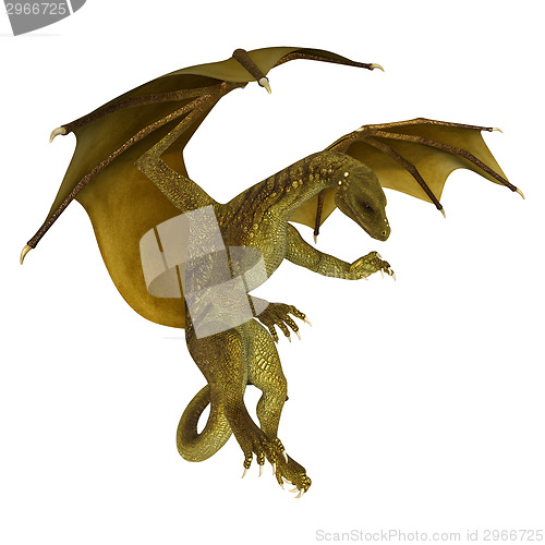 Image of Golden Dragon