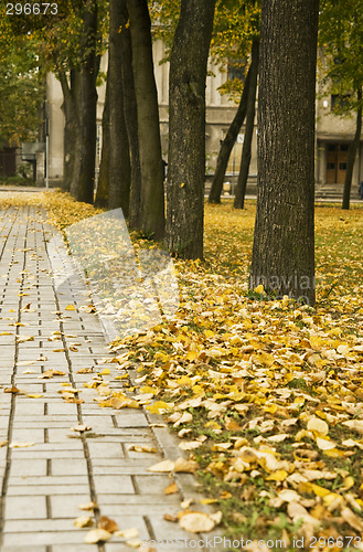 Image of Autumn colors
