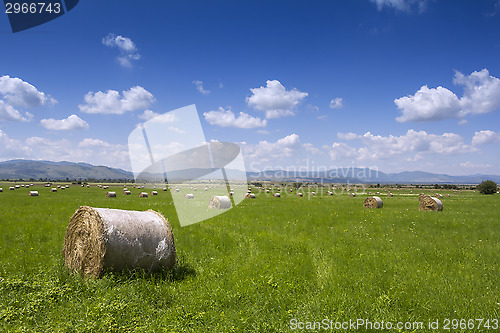Image of Bales of hay