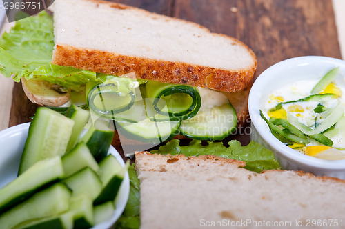 Image of fresh vegetarian sandwich with garlic cheese dip salad