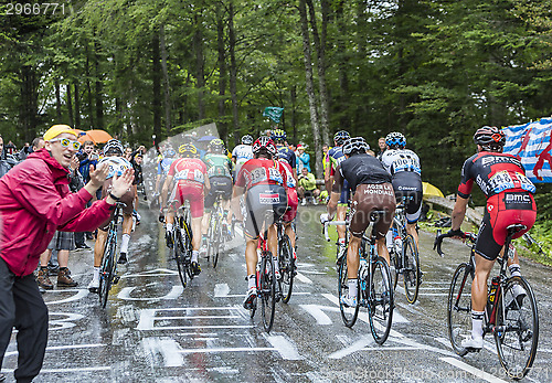 Image of The Peloton